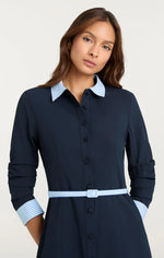 Load image into Gallery viewer, Cinq a Sept Stripe Shirting Lucilla Dress
