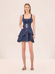 Alexis Macey Dress