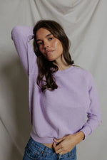 Load image into Gallery viewer, Perfect White Tee Ziggy Sweatshirt
